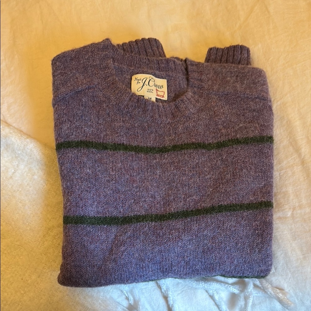 J Crew Mens Purple and Green Stripe Crewneck Sweater Size M